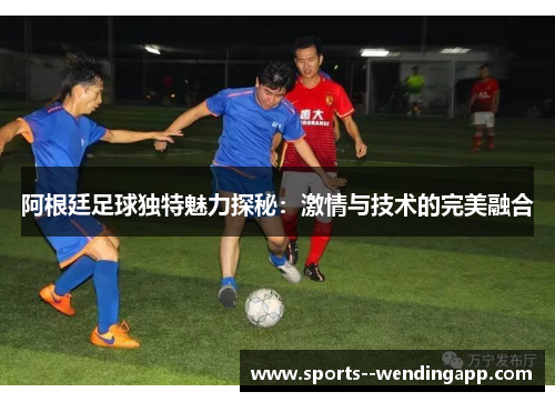 阿根廷足球独特魅力探秘：激情与技术的完美融合